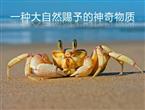 人体生命健康第六要素——甲壳多糖