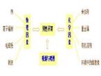 男性不孕不育探究及建议