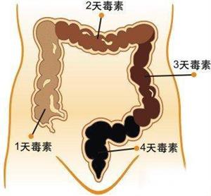 清肠、除口臭的方法