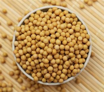 两斤黄豆营养等于一罐蛋白质粉？