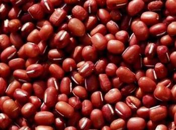 减肥食品冬瓜皮和红豆