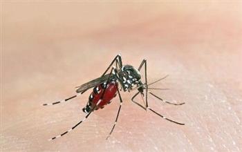 秋季养生保健要防治疟疾
