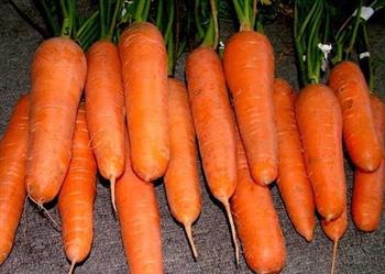 胡萝卜如何挑选更营养？