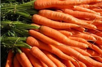 每天吃胡萝卜不会患肺癌