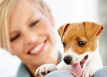 夏季狂犬病高发 预防需注意四大项