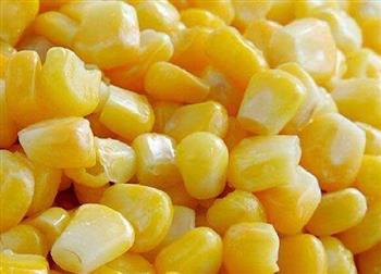 老年人多吃玉米可防视网膜黄斑病变