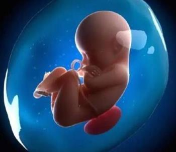 4个月胎儿缺氧孕妇表现 胎儿宫内缺氧的4个症状