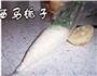 香甜糯米藕的做法图解4