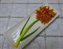 菊花茄子的做法图解13