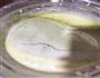 抹茶蜜豆雪顶的做法图解3