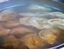 黄鱼大馄饨的做法图解27