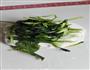 菠菜奶酪面包的做法图解5
