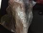 肉松蛋糕卷的做法图解14