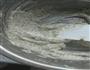 红茶茶包饼干的做法图解6