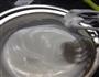 芒果流心纸杯蛋糕的做法图解13