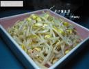 清炒黄豆芽