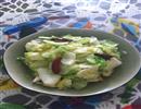 素炒圆白菜