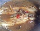 酱水舌鳎鱼
