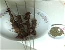 羊肉串